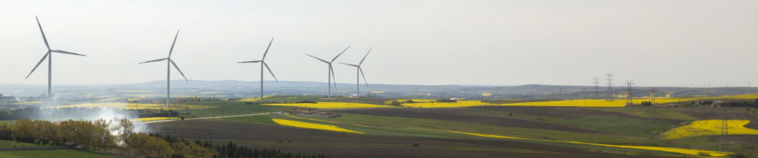 CMS,免费CMS,免费开源Java CMS,CMS系统,Java CMS,CMS内容管理系统,企业CMS,HTML网页模板,CMS模板,CMS源码,网站源码,信创系统软件,安可系统,网站建设,模板网站,建站模板,建站工具,建站平台,建站工具